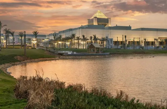Visit the Egyptian Museum and the National Museum of Egyptian Civilization on this Egyptologist-guided tour.