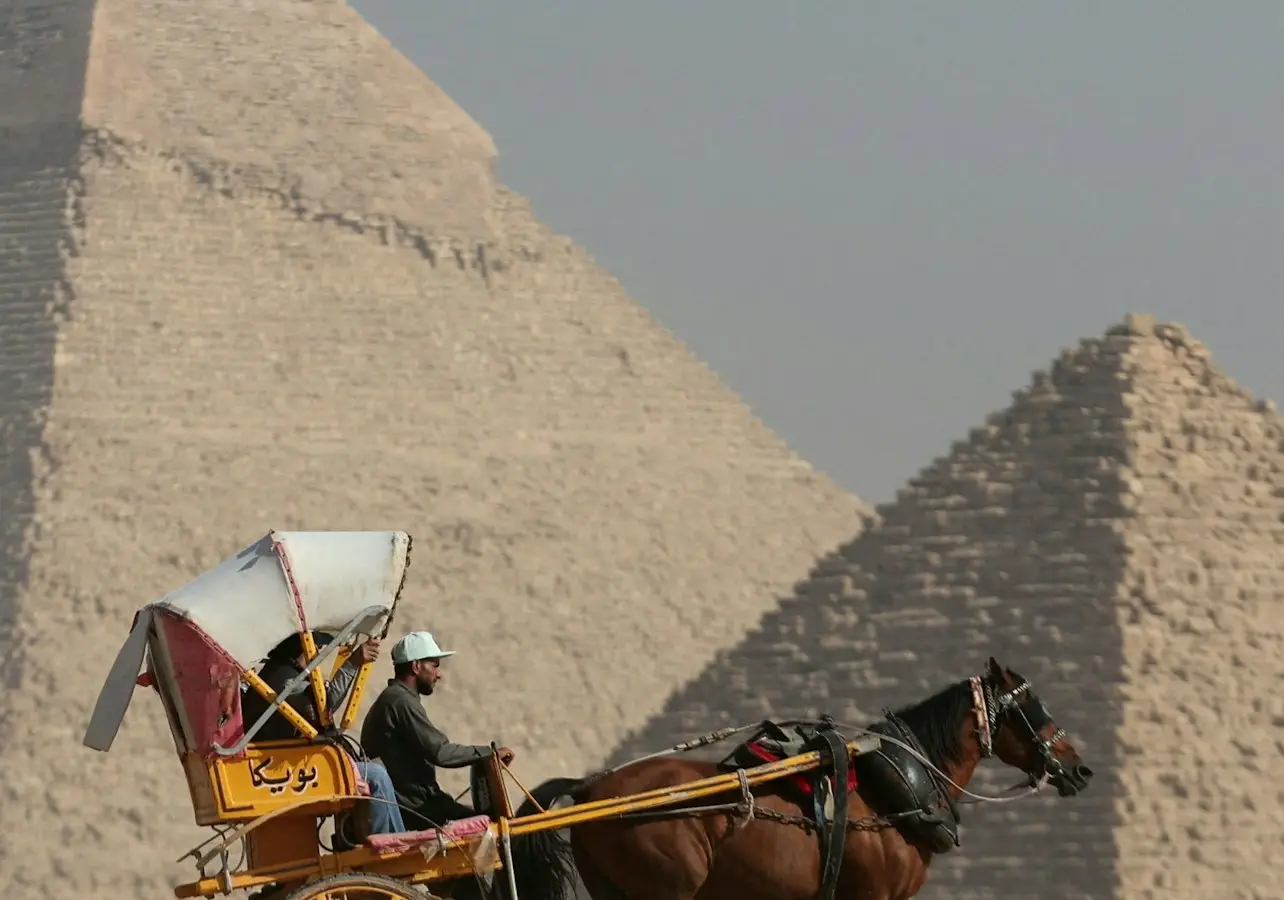 A person riding a horse-drawn carriage in front of the Pyramids of Giza under a clear sky.