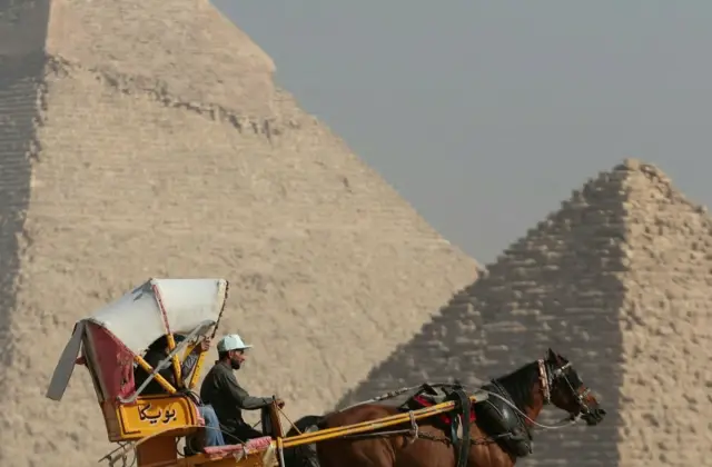 A person riding a horse-drawn carriage in front of the Pyramids of Giza under a clear sky.